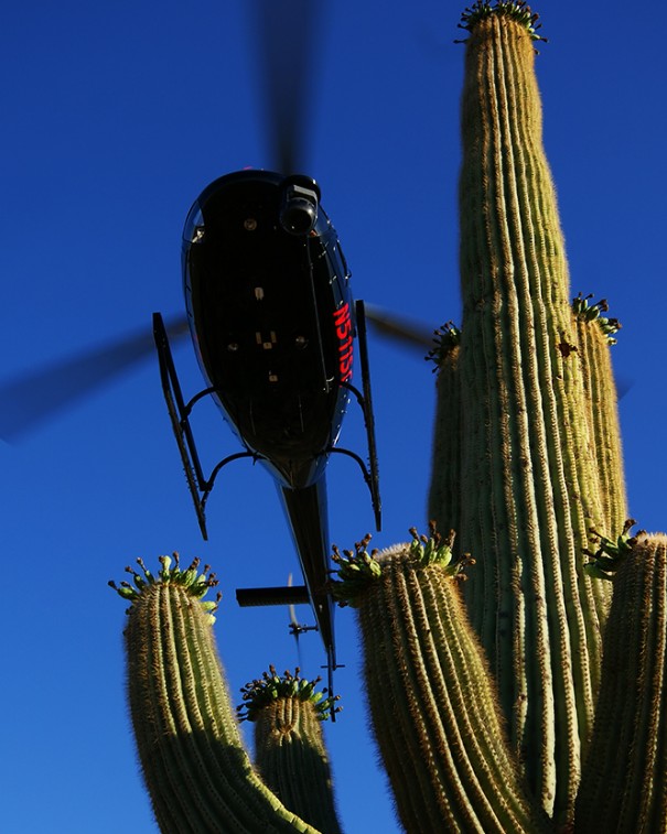 helicopter flying over a cactus